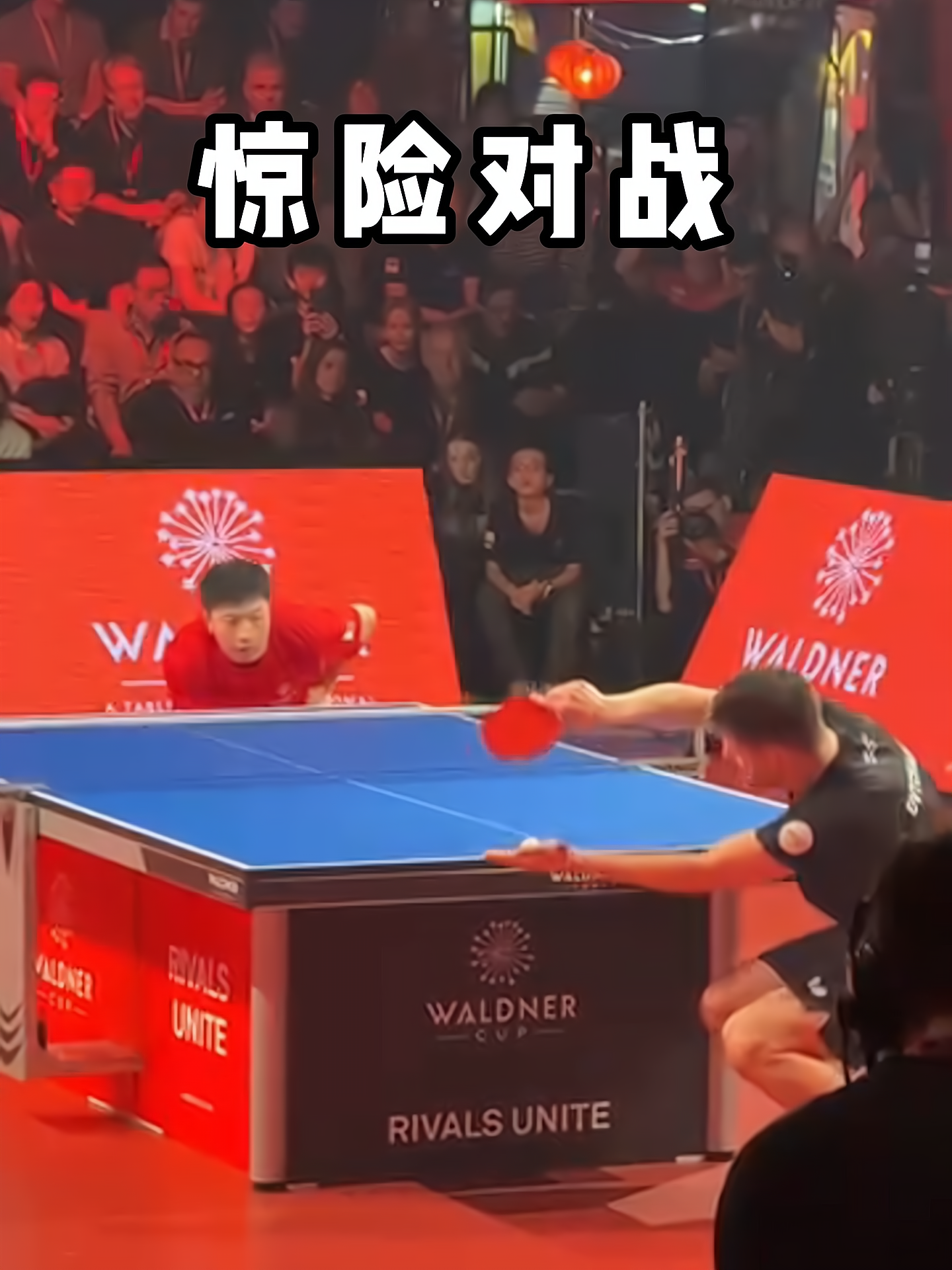 关于波兰乒乓球队碾压奥地利乒乓球队,奥恰洛夫统治全场的信息 关于波兰乒乓球队碾压奥地利乒乓球队,奥恰洛夫统治全场的信息