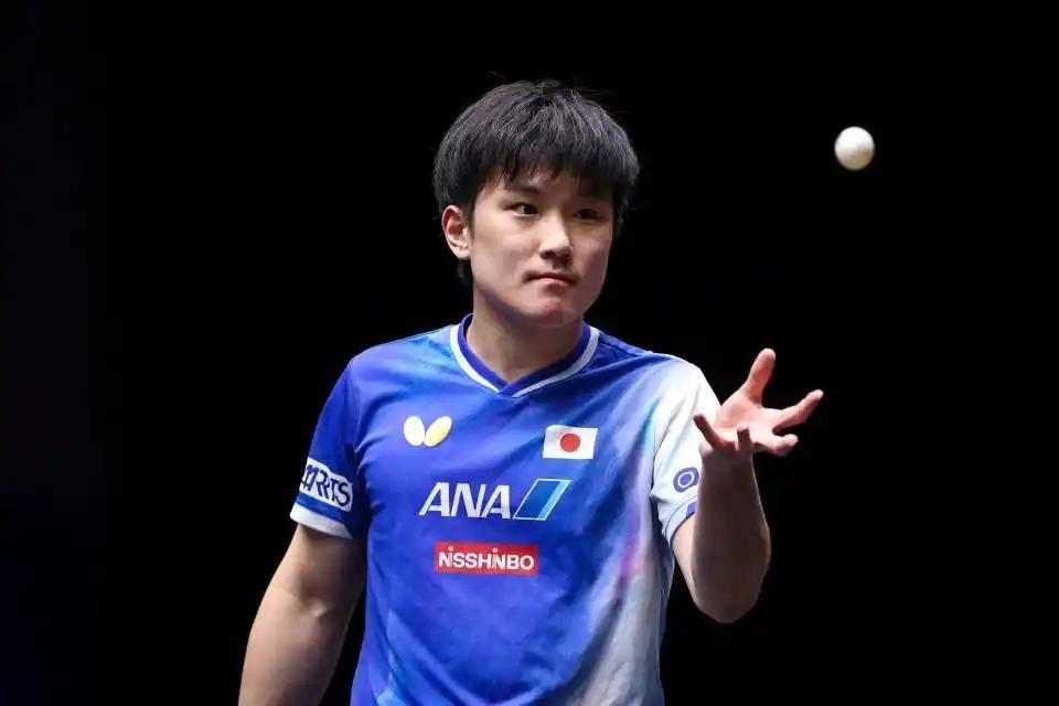 中国乒乓球队逆转比利时乒乓球队,张本智和统治全场的简单介绍 中国乒乓球队逆转比利时乒乓球队,张本智和统治全场的简单介绍