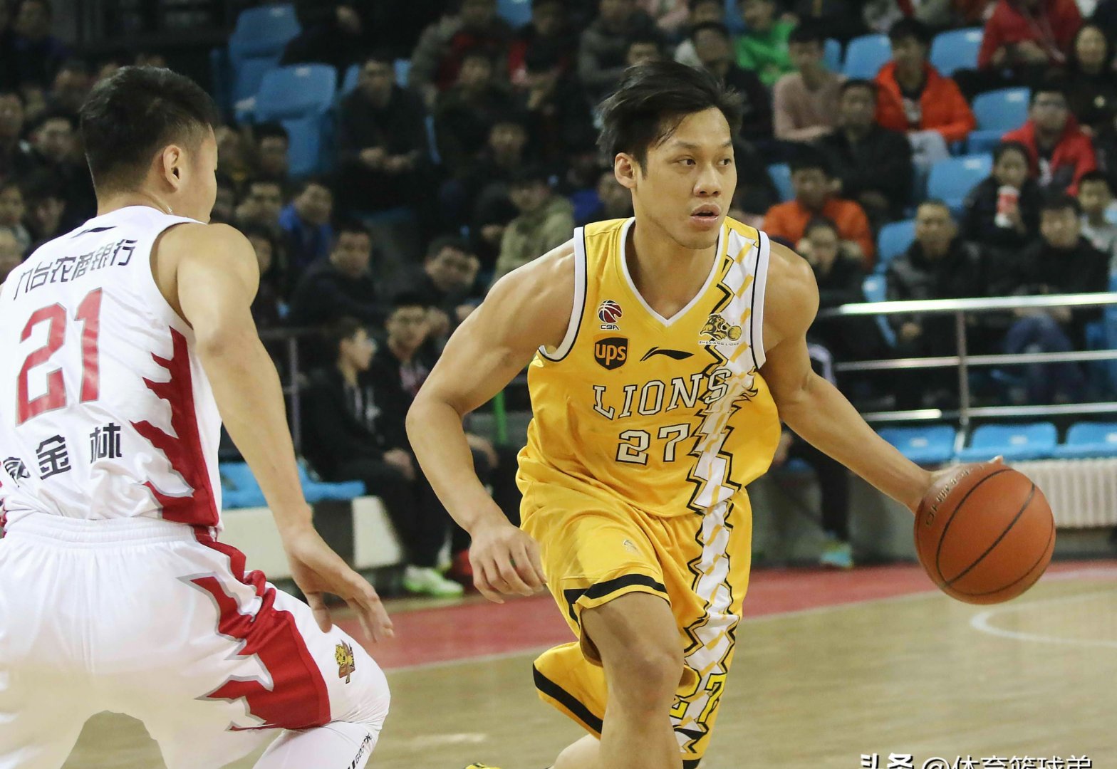 福建队横扫四川队，胡金秋统治全场的简单介绍