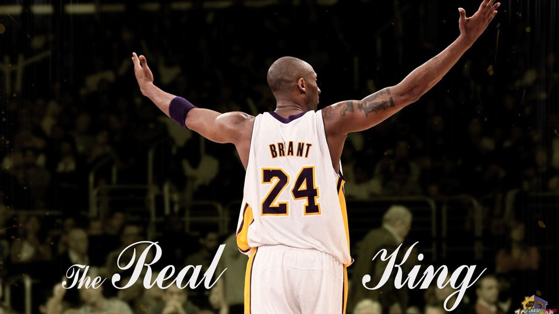 西决生死战焦点战，猛龙节奏掌控掘金，一场战术与意志的终极博弈